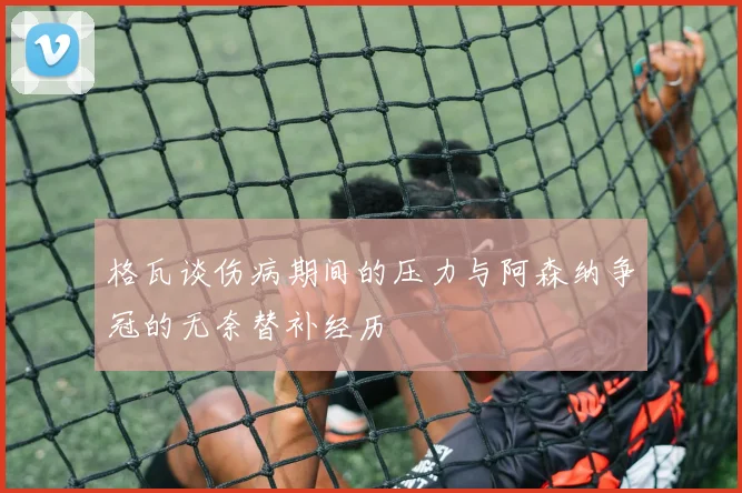 格瓦谈伤病期间的压力与阿森纳争冠的无奈替补经历